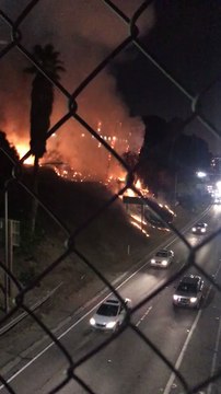 Fire Next to Highway Burns Palm Trees in Downtown Los Angeles