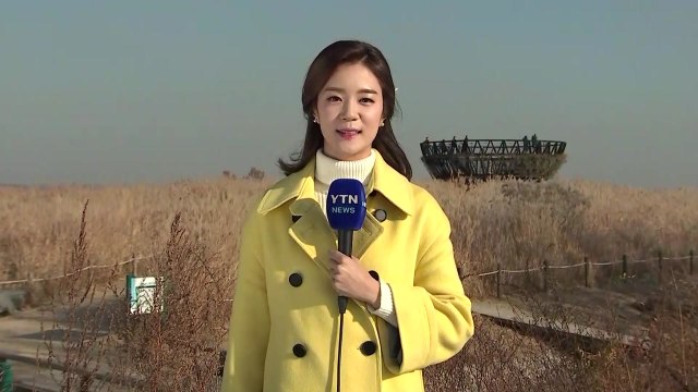 [날씨] 내일 비 뒤 찬 바람...수능일, 영하권 추위 / YTN