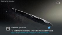 The First Known Interstellar Asteroid Looks Incredibly Weird