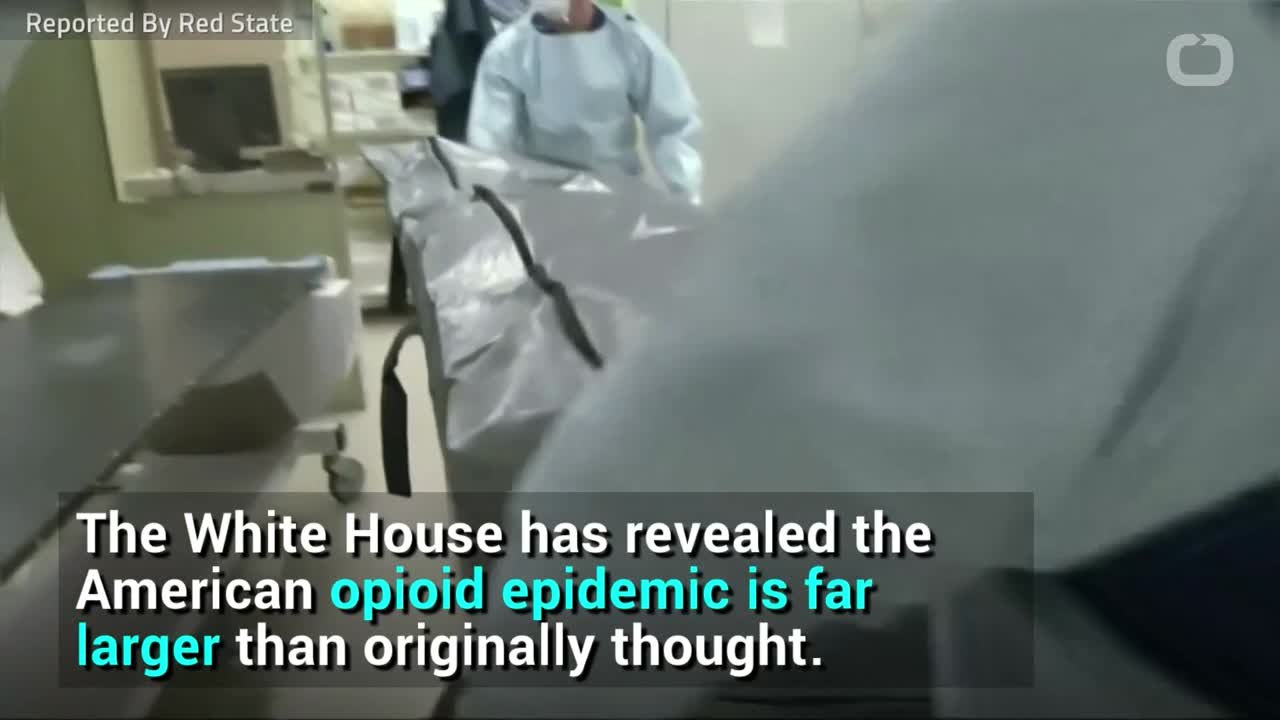 White House Report: Opioid Epidemic Costs America $500 Billion A Year