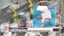 Avian flu found in wild bird droppings in southern Korea
