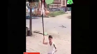 Most Funniest Hot Video Ever _ Must Watch _ Bad Videos _ Chill Tv