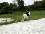 Galop main droite equitation