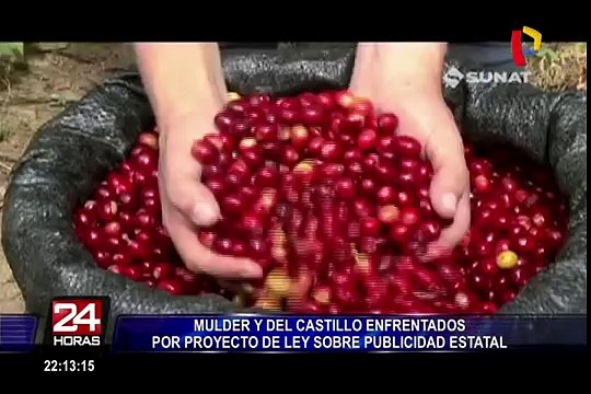 Mulder y Del Castillo enfrentados por proyecto de ley sobre publicidad estatal