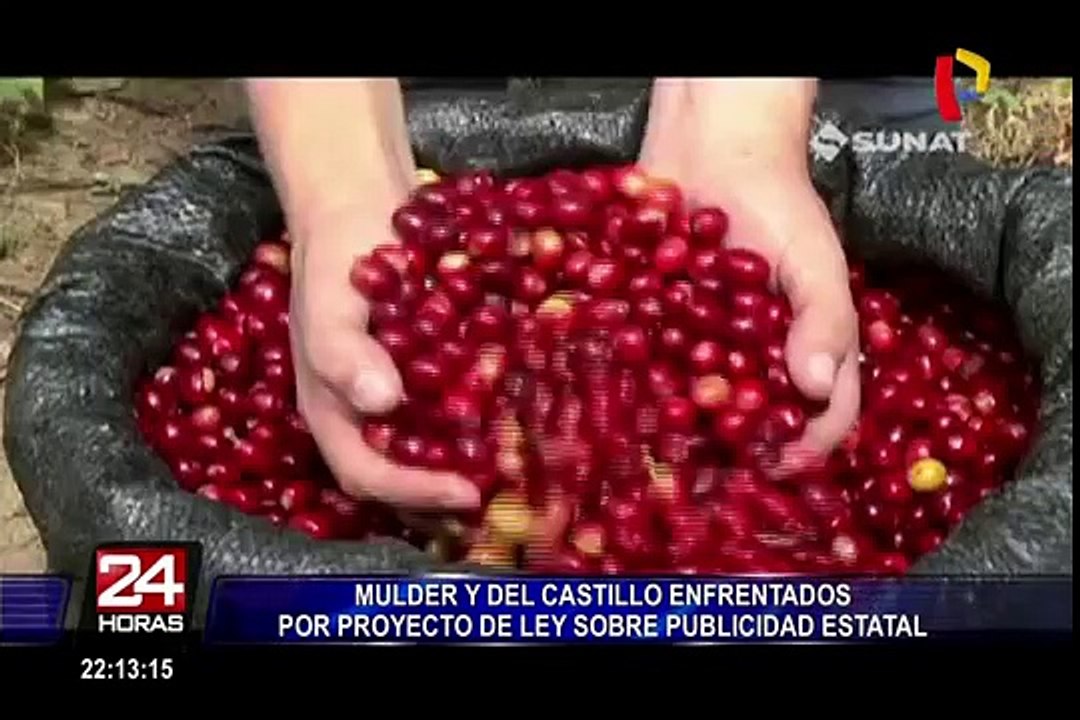 Mulder y Del Castillo enfrentados por proyecto de ley sobre publicidad estatal