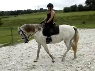 Hanche en dedans equitation