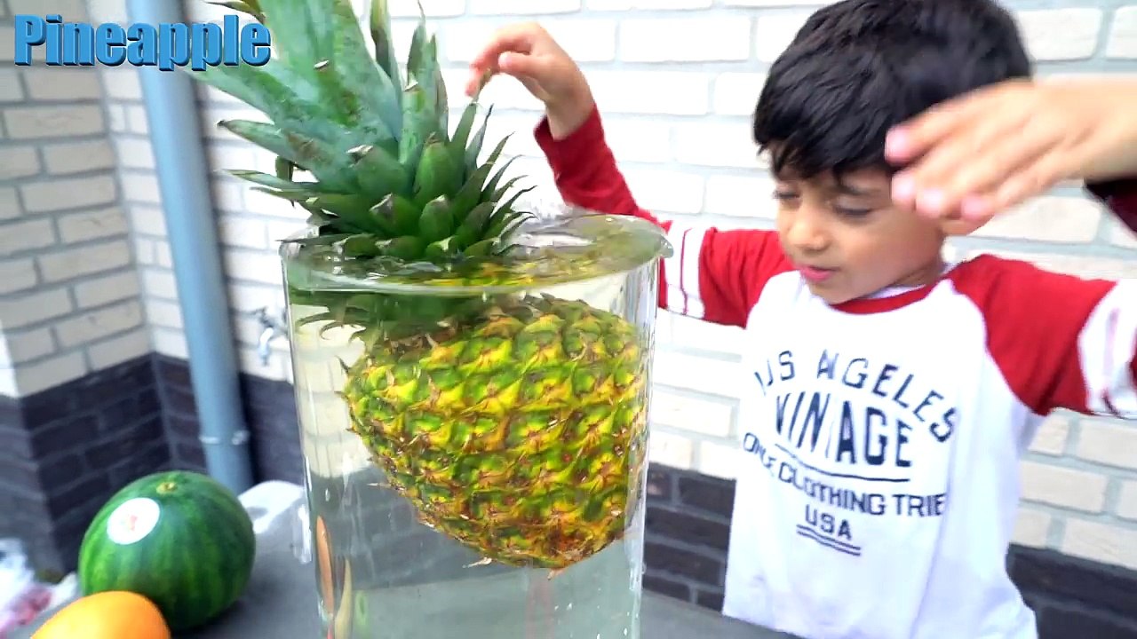 Float or Sink Challenge for Kids! Learn Fruits and Vegetables for ...