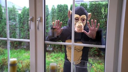 Fun Monkey Giant M&M's from Fun Kid IRL Johny Johny Yes Papa Nursery Rhymes for Kids-nM5t7WqV-I8