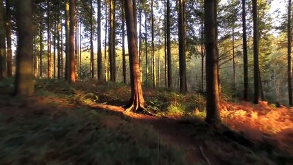 Youtuberlar Zombi Kaçış BULMACASI