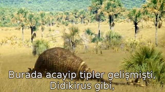 Walking With Beasts - Sabre Tooth