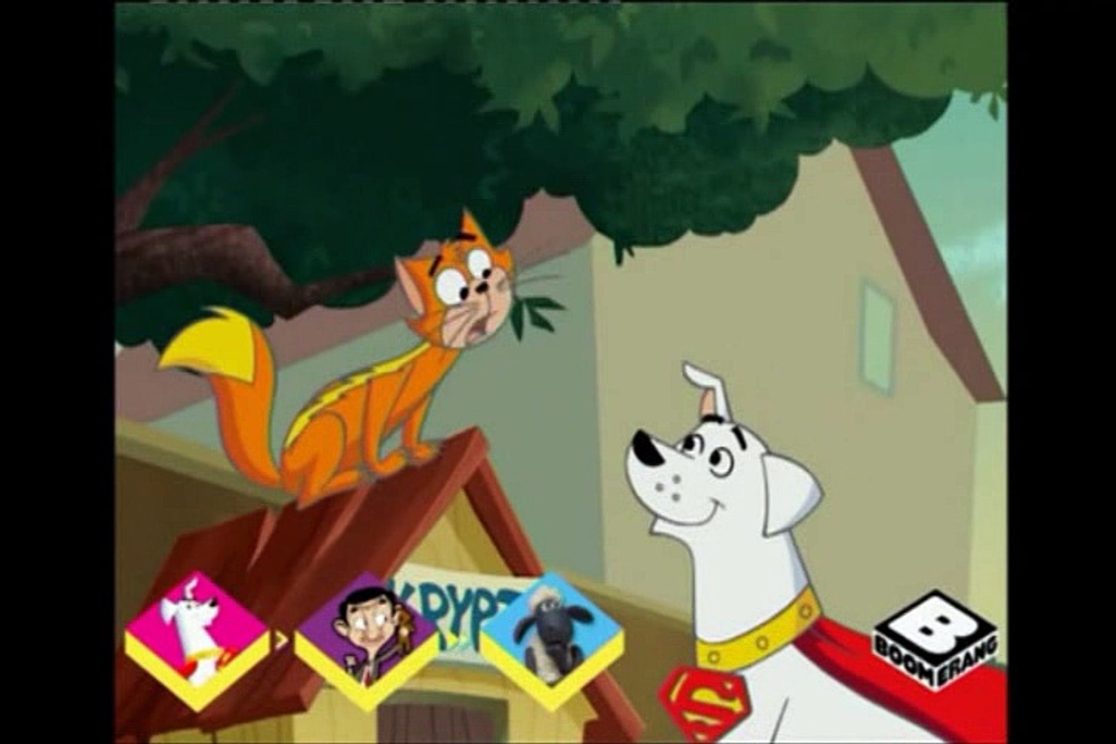 Krypto le superchien - Saison 01 Épisode 28 : Le Chat et la Chauve-souris