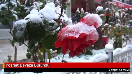 Yozgat Beyaza Büründü