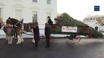 BREAKING NEWS TODAY, The First Lady Receives the 2017 White House Christmas Tree, USA TODAY 11_21_17-sqmJImokVYs