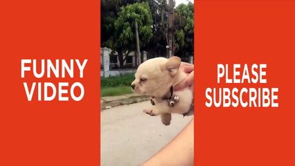 Indian Funny Videos - TRY NOT TO LAUGH or GRIN Whatsapp Funny Videos of July _ Part 7