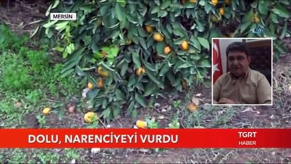 Günaydın Türkiye - 21 Kasım 2017