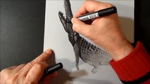 Incredible 3D Crocodile - How to Draw Crocodile - Trick Art on Paper - VamosART-guZeAjdYw_c