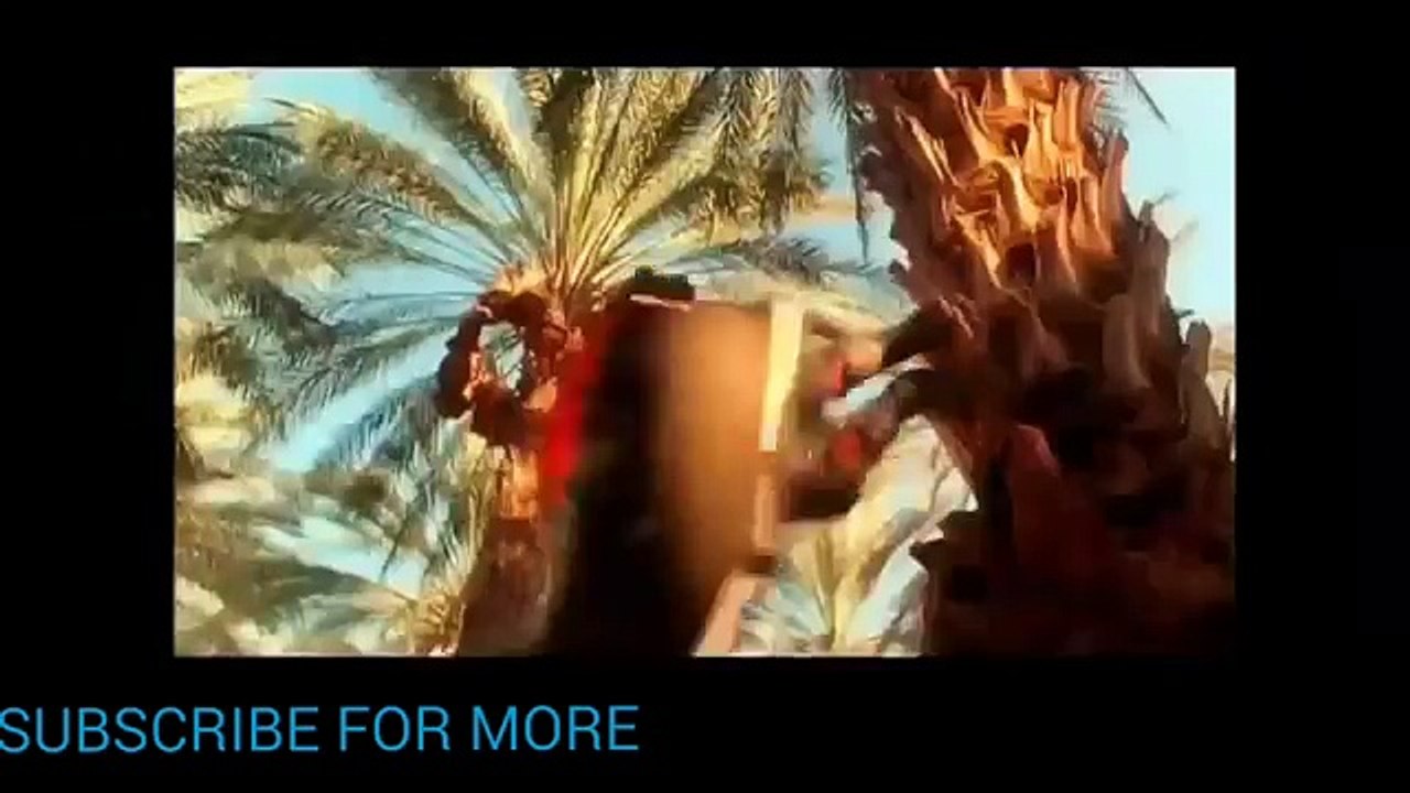 Dhoom 4 Trailer 2017  Salman Khan Shahrukh khan Ranveer Singh