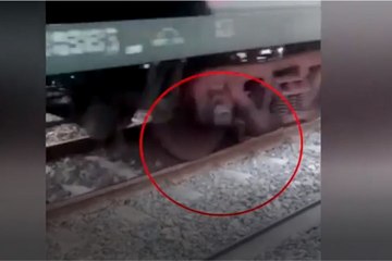 ஆறு பட பாணியில்.. உடலில் ரயில் ஏறி சென்ற பின்பும் உயிரோடு வந்த நபர்- வீடியோ