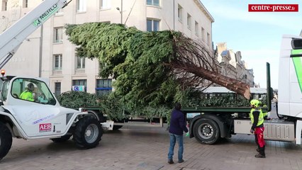VIDEO. Poitiers : tout vert et haut de 14 mètres, le sapin est est installé