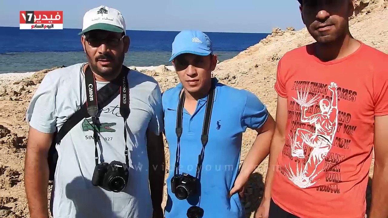 رحلة الطيور المهاجرة من أوروبا لأفريقيا على جزر بالبحر الأحمر