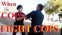 Cops Fighting Cops