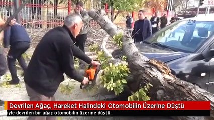 Devrilen Ağaç, Hareket Halindeki Otomobilin Üzerine Düştü
