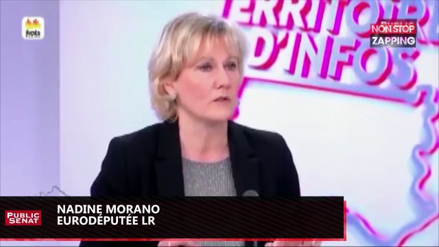 Zap politique - Nadine Morano sur les migrants : La France c’est pire qu’une passoire (vidéo)