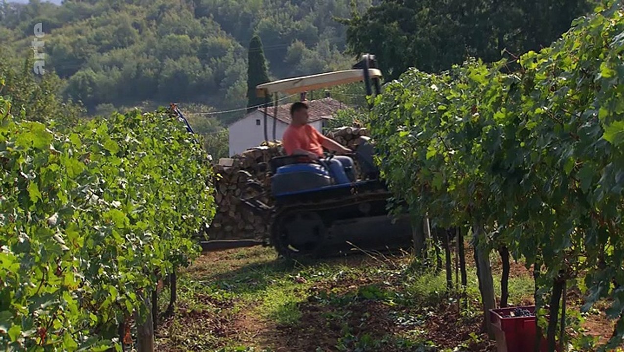 Zu tisch in istrien (kroatien) - traditionelle gerichte
