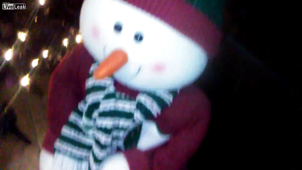 I put up my Christmas Tree