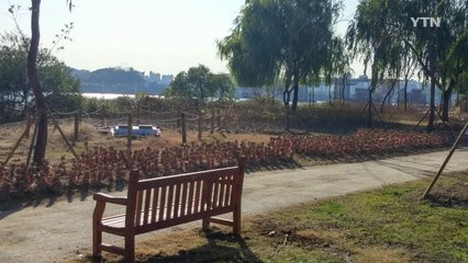 서울 도심 속 허파 '난지 한강숲' 조성 / YTN