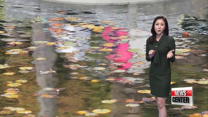 Mild temperature tomorrow with rain _ 112117