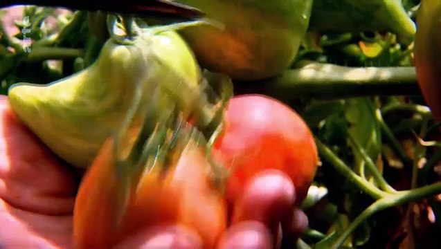 Zu Tisch in Bottniska viken (Nordschweden) - Traditionelle Gerichte