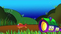 Learn Colors for Kids_ The RED Star Fish! Children's Educational Videos ABC 123 学习英语的颜色