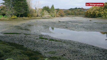 Logonna-Daoulas (29). L'étang doit être retiré de la vente