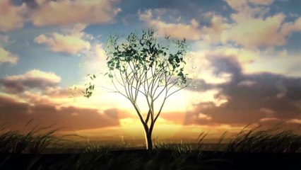 How the Kindle was designed through 10 years and 15 generations