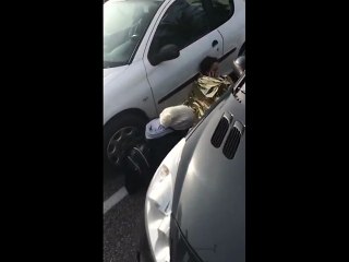 Vidéo pendant l'exercice attentat au Zénith de Dijon