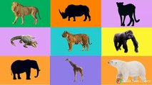 Learning wild animals for kids | Learning Wild Animals Names and Sounds for kids