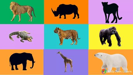 Learning wild animals for kids | Learning Wild Animals Names and Sounds for kids