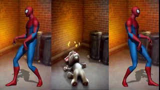 ✿ Baby Learn Colors with SPIDER MAN with TALKING TOM Animation hero Education Cartoon videos Kids