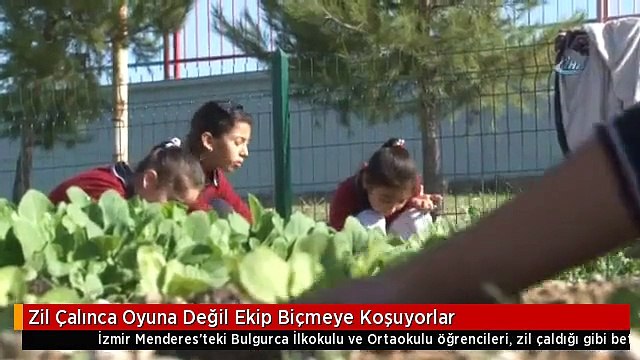Zil Çalınca Oyuna Değil Ekip Biçmeye Koşuyorlar