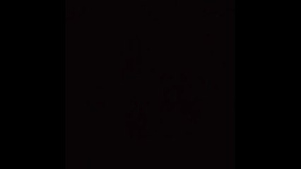 Emilie Nef Naf et Bruno Cerella plus amoureux que jamais