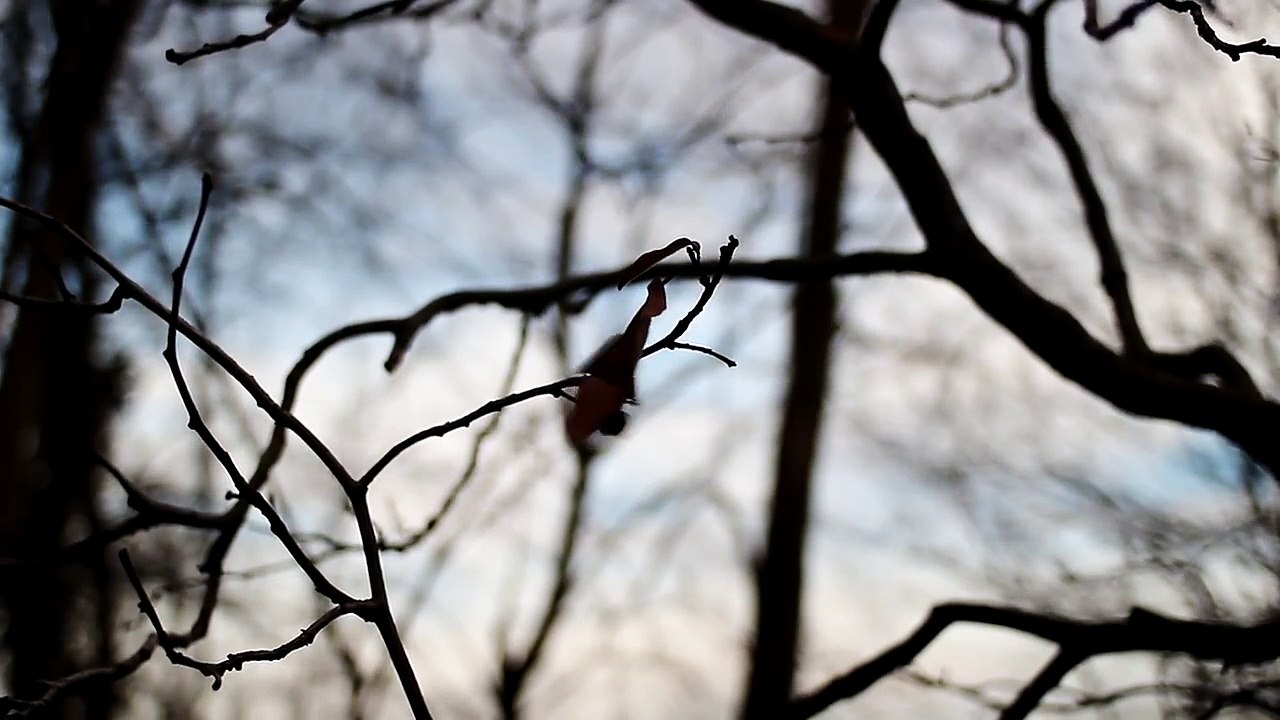 Flows of 'water' on Mars may actually be sand, new study reveals