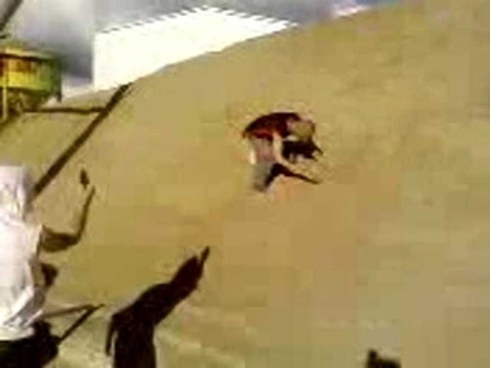Saut D