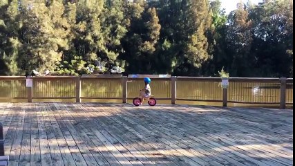 Adorable Kid Chases Birds on Bike