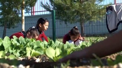Zil Çalınca Oyuna Değil Ekip Biçmeye Koşuyorlar