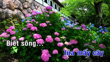 Karaoke Đố Ai - Alan Ái Liên Ái 🎤 - thumbnail