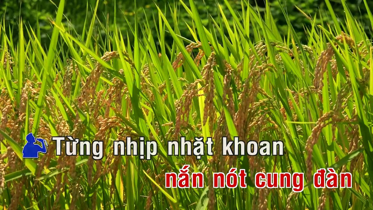 Karaoke - Giọng Ca Dĩ Vãng - Anh Khoa  Dalena