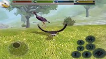 Ultimate Bird Simulator By Gluten Free Games - Android/iOS - Gameplay Part 1