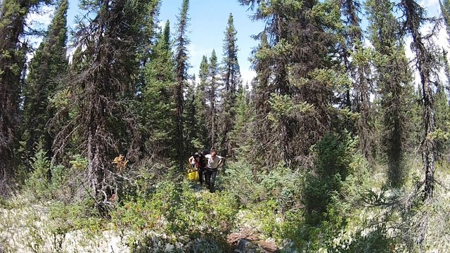 Expédition en Canoë sur la Moisie, Québec (Côte Nord) 2015