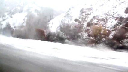 2010 Rakımlı Geminbeli Geçidi'nde Bazı Araçlar Mahsur Kaldı